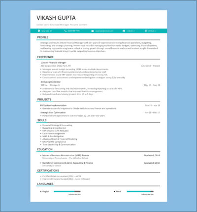 Senior-level resume format showcasing financial manager profile, work history, projects, skills, certifications, and education.