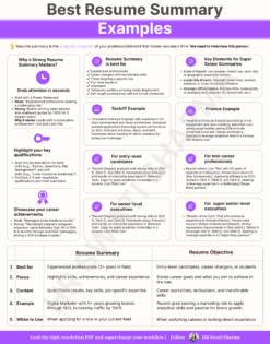 Resume Summary examples infographic showing tips, key elements, and sample summaries for different career levels.