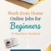 50 Beginner-Friendly Online Jobs ebook cover - Free guide for students and parents - No experience required